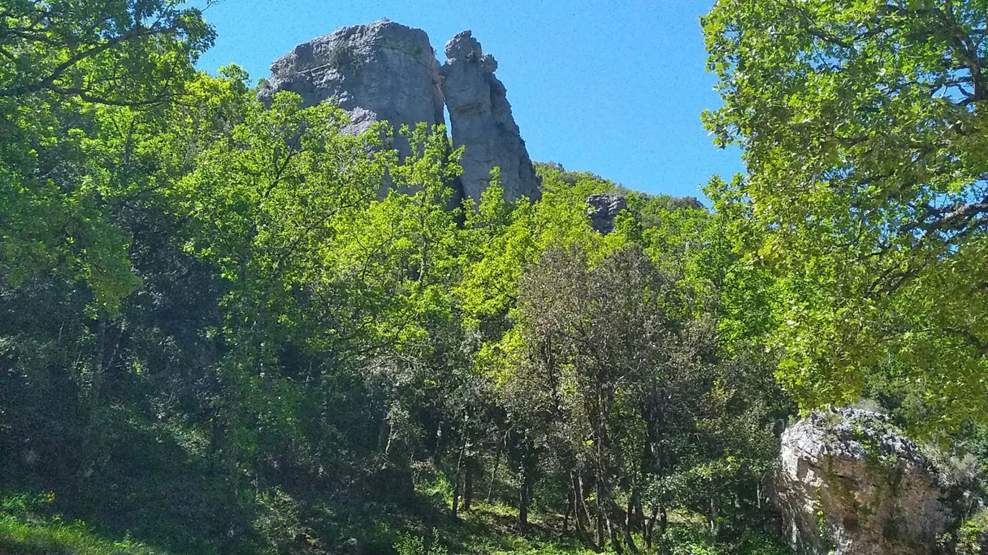 Aperçu du haut des aguilles parmi la végétation verdoyante