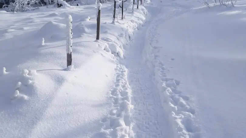en rentrant du col du béal