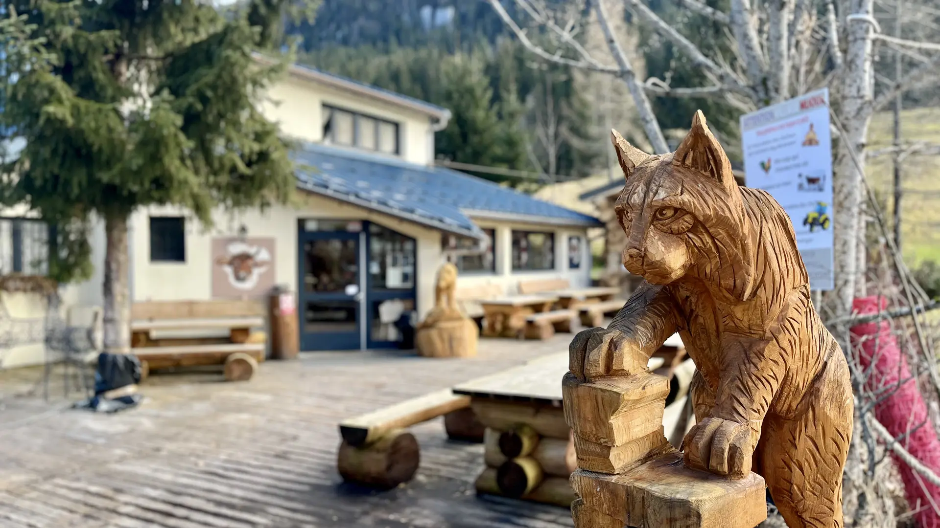 Lynx