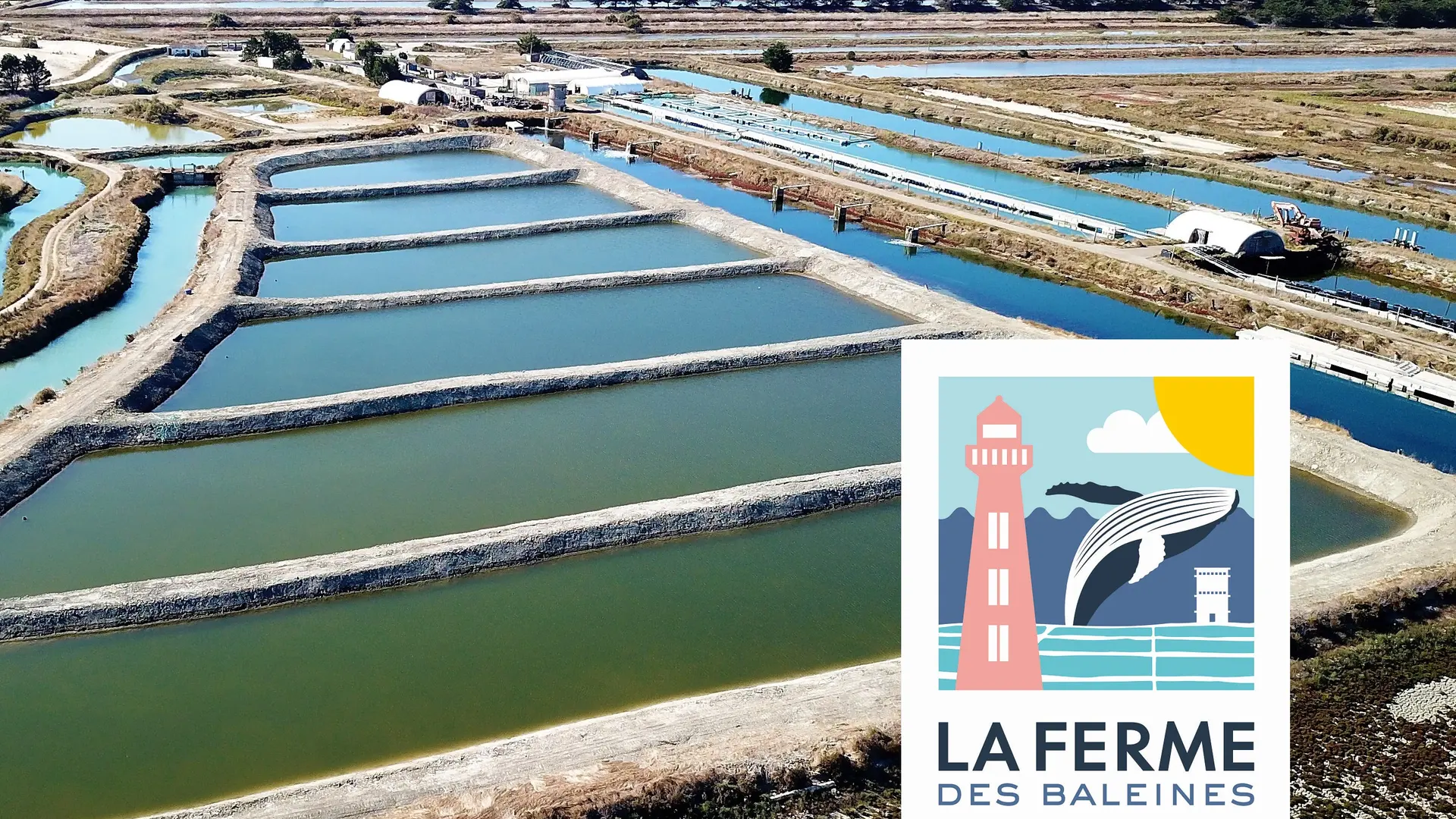 Les marais de la Ferme des baleines