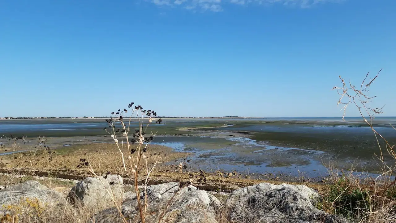 sur les pistes vers La Couarde