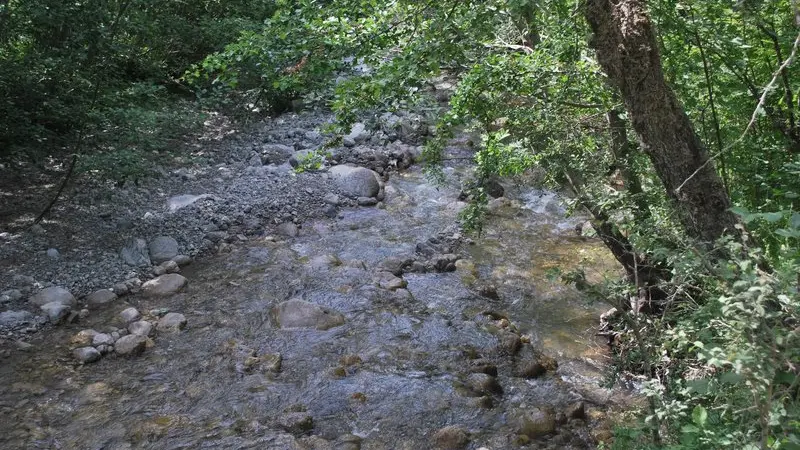La source de la Bastié