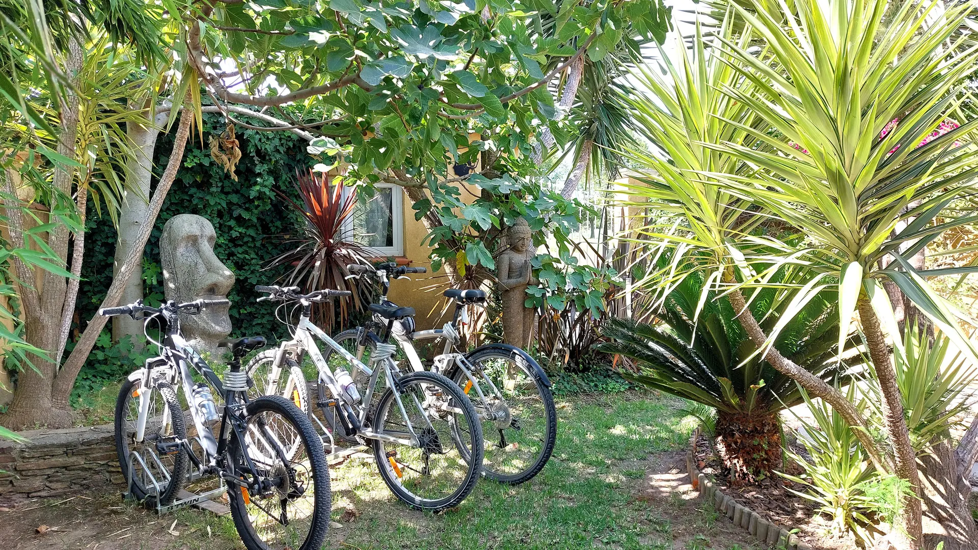 3 VTT à disposition