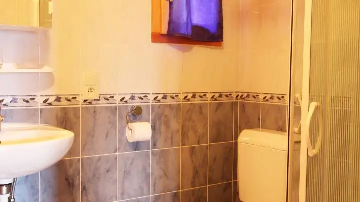 salle de bains (douche) et wc au rez de chaussé