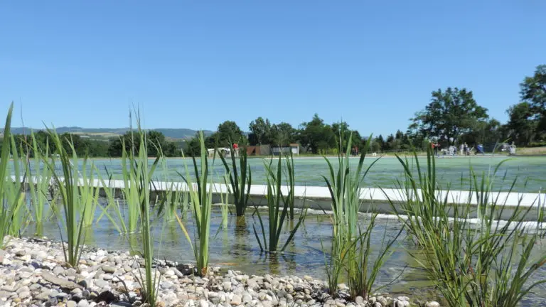 Plan d'eau de baignade naturelle à proximité