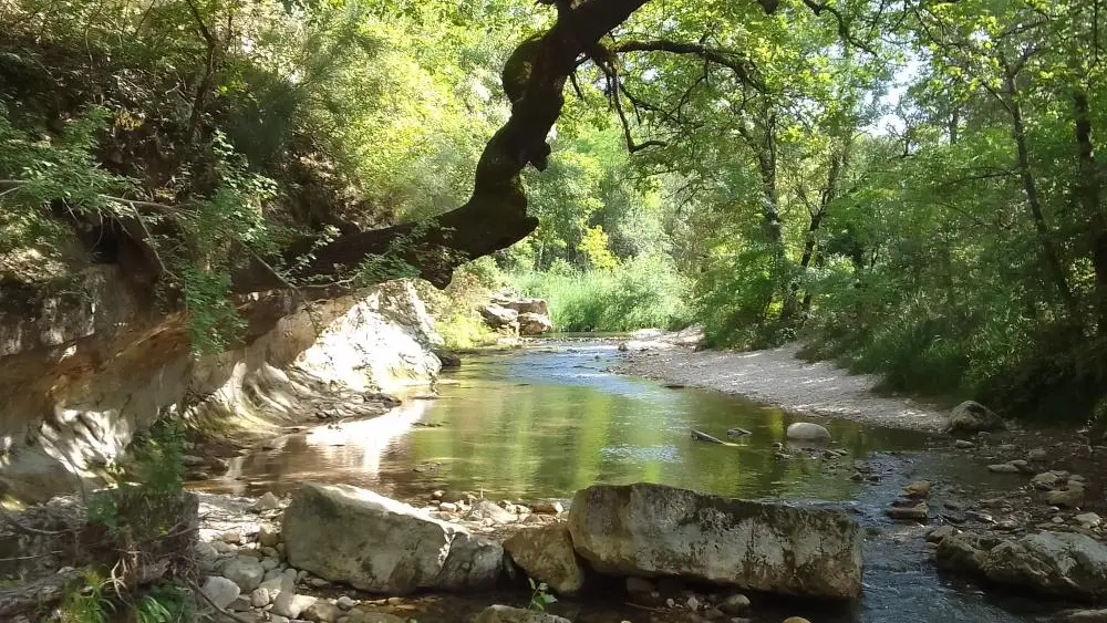 La rivière voisine