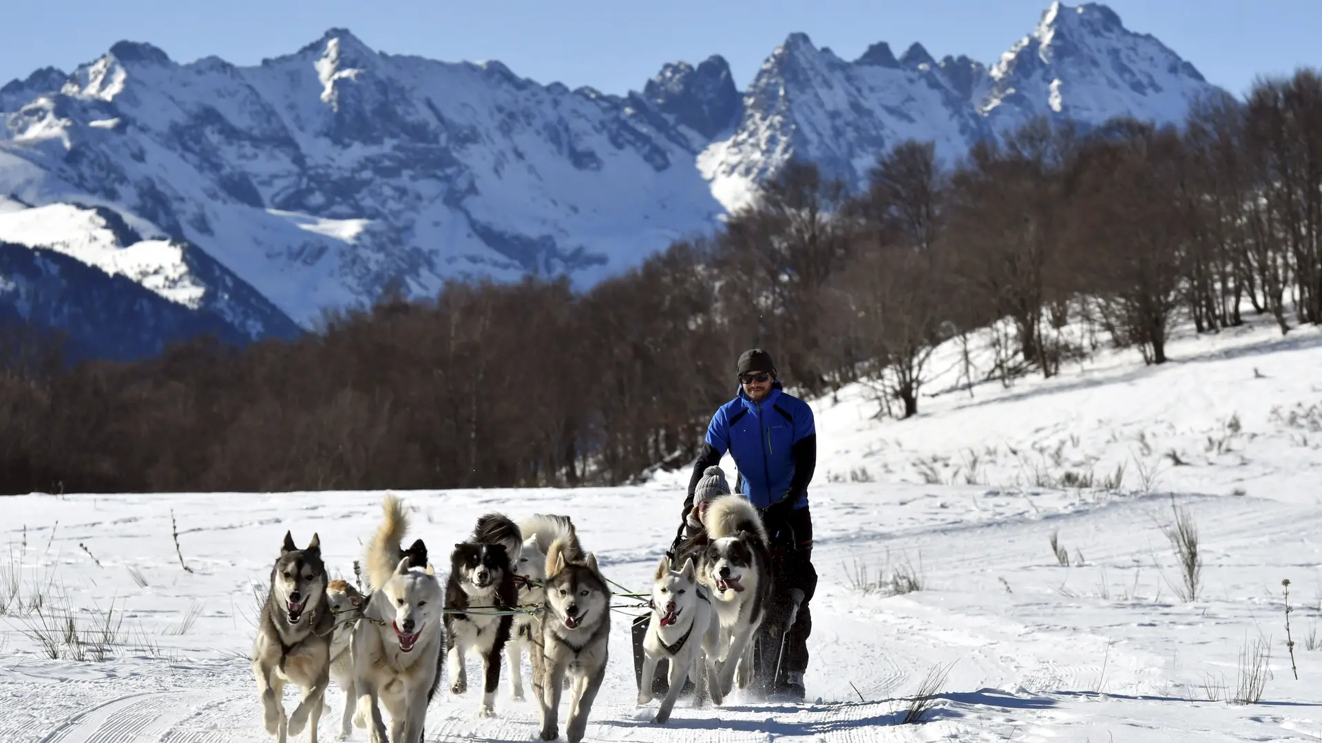 Attelage sur neige, Terre Sauvage