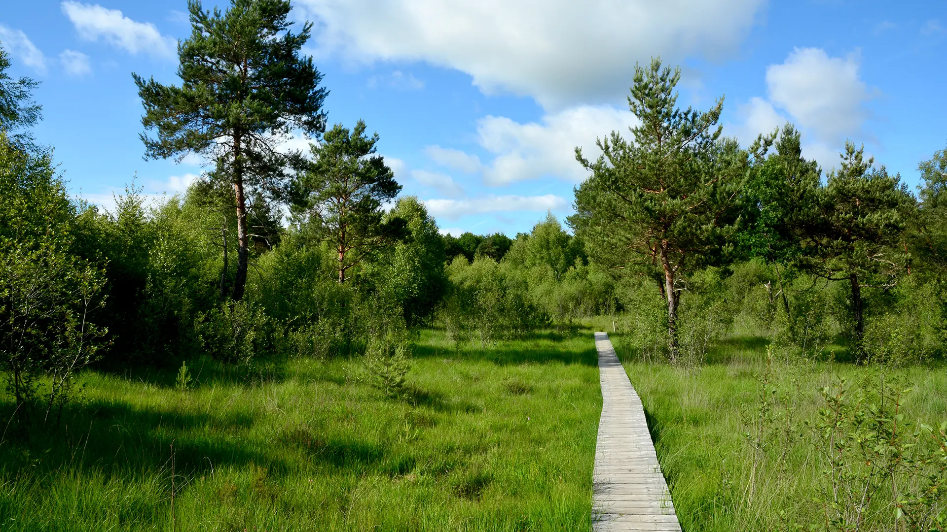 Le marais de Cassan