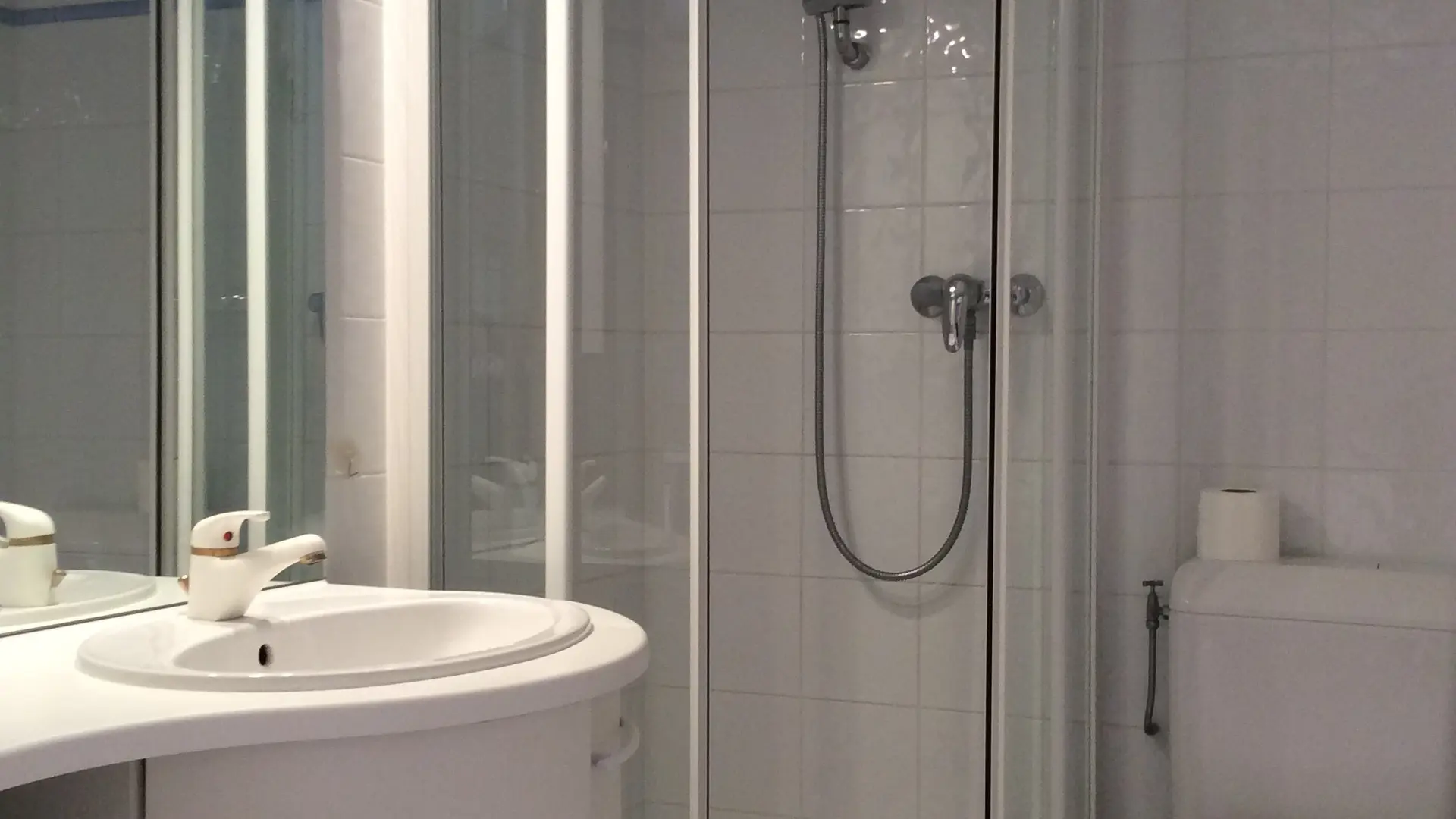 Salle de bain avec douche et lave-linge/Bathroom with a shower and a washing machine-Beaulieu-Le Grand-Bornand