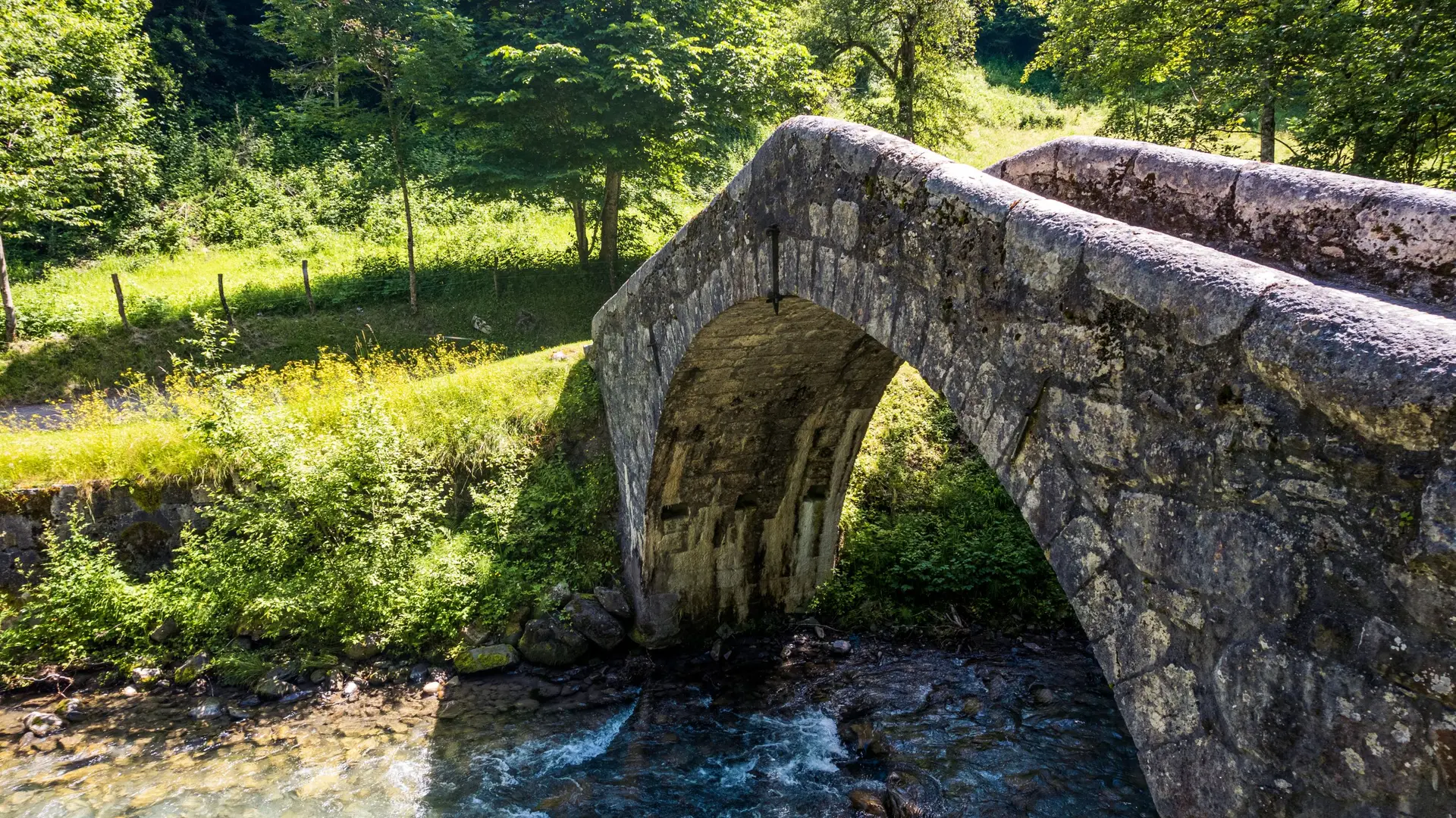 pont