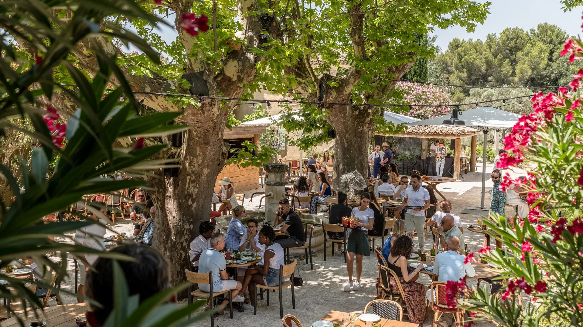 La Petite Guinguette - Les Petites Maisons Hameau des Baux à Paradou