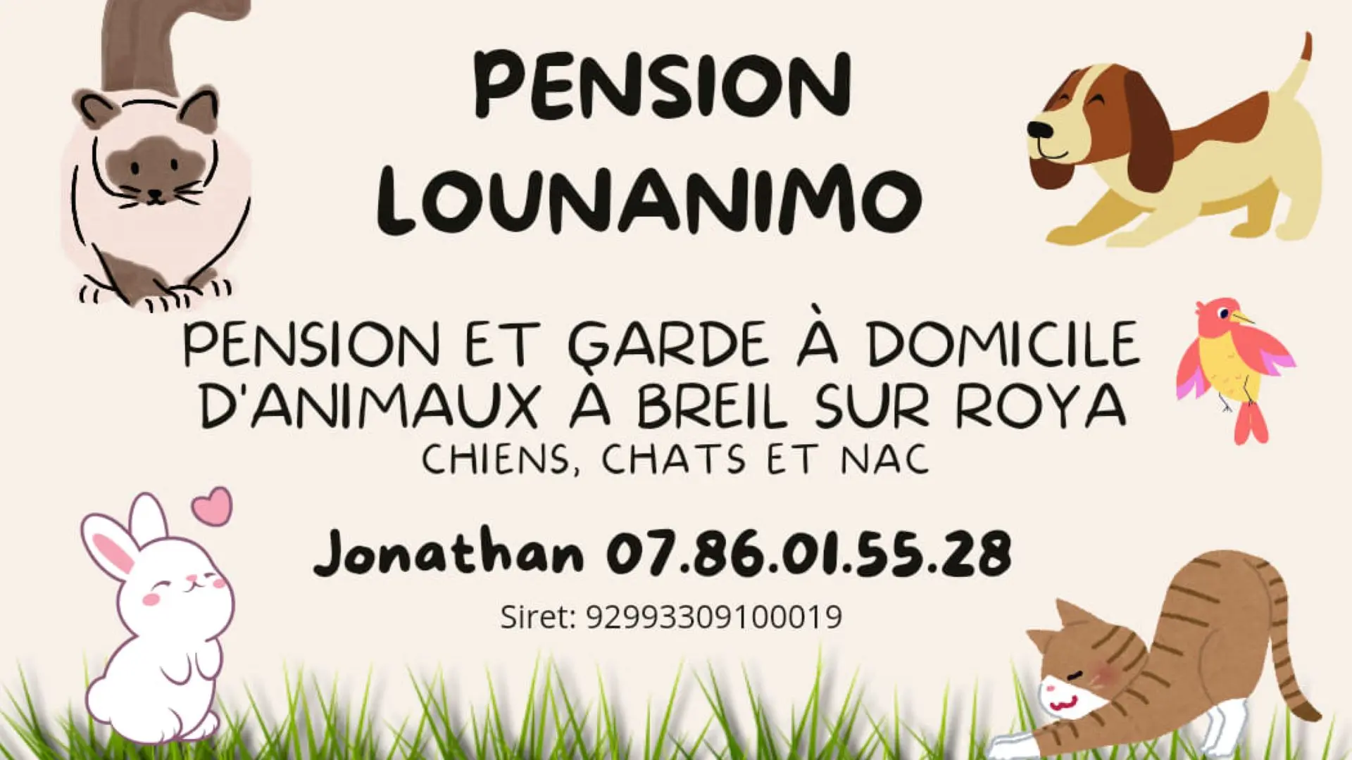 Pension Lounanimo