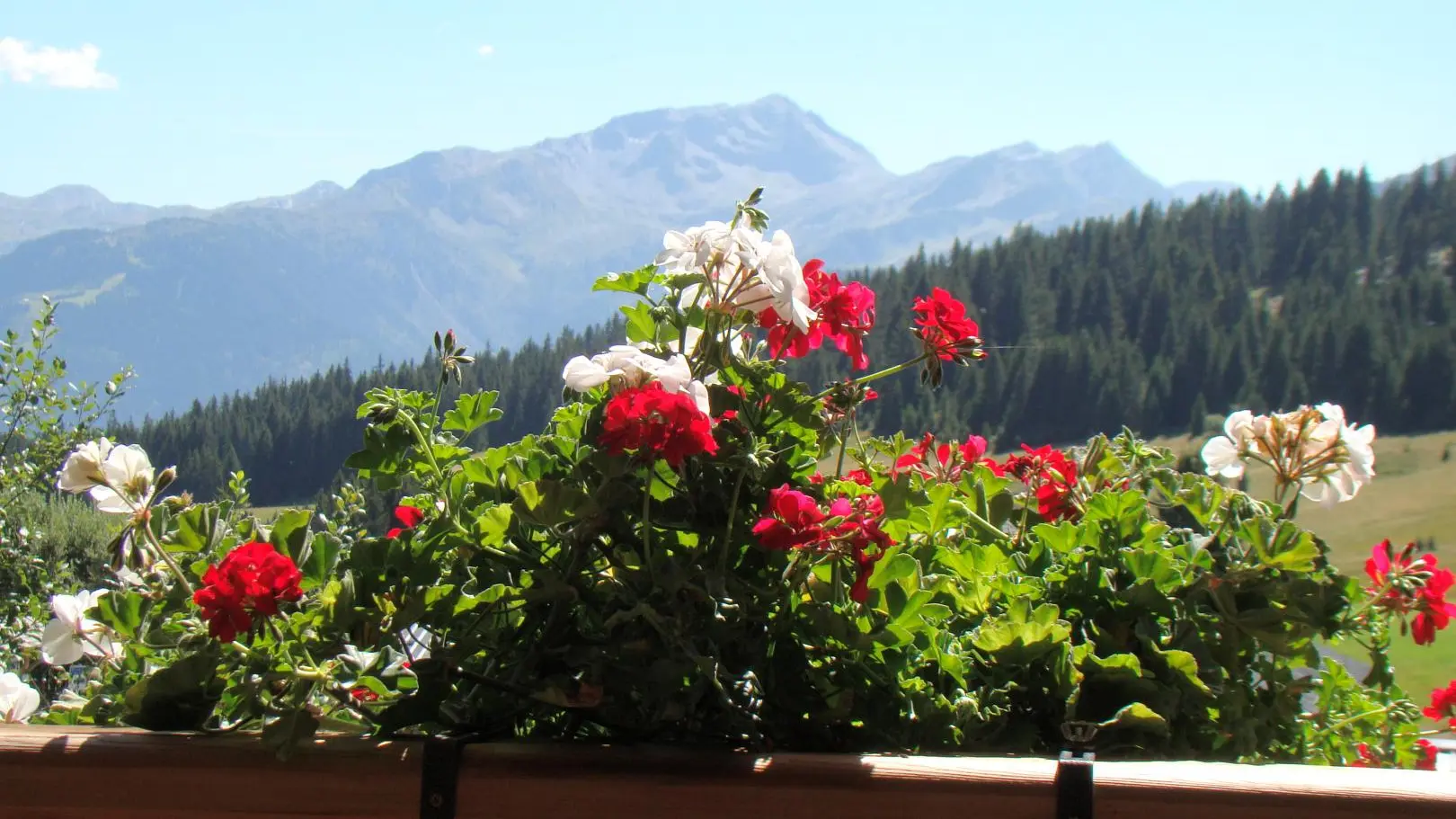 Vue sur les montagnes