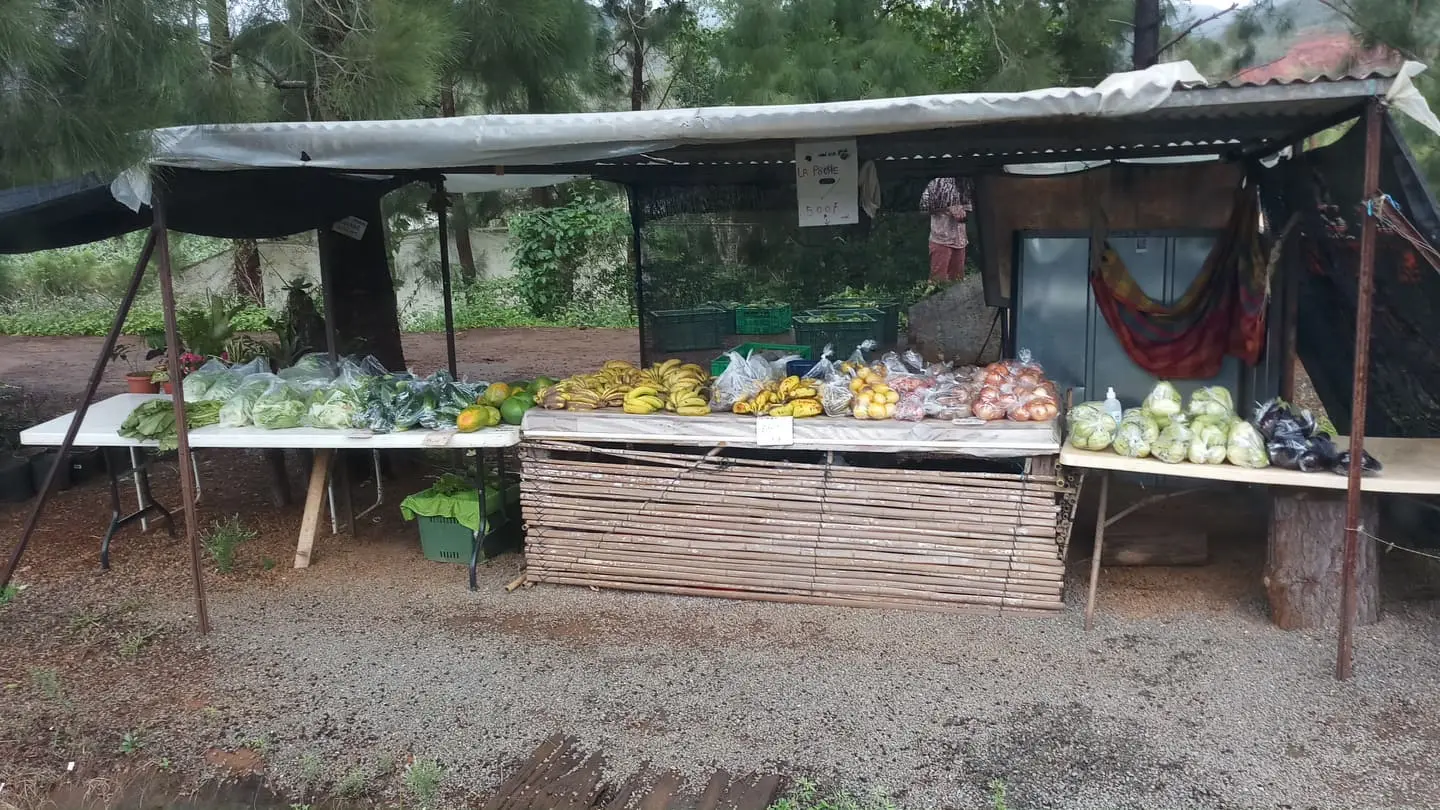 Authentic stop at a local roadside market.