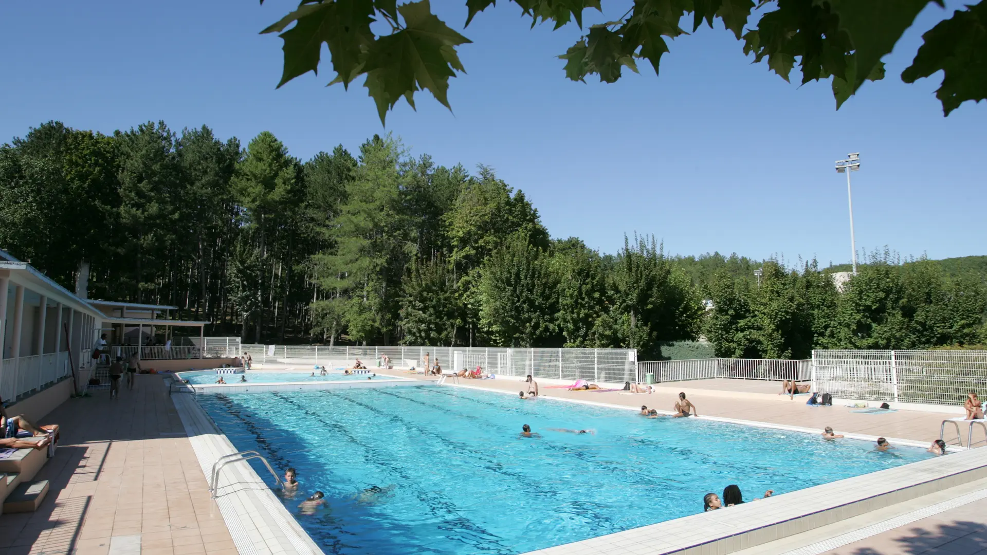 Piscine bordée par la pinède