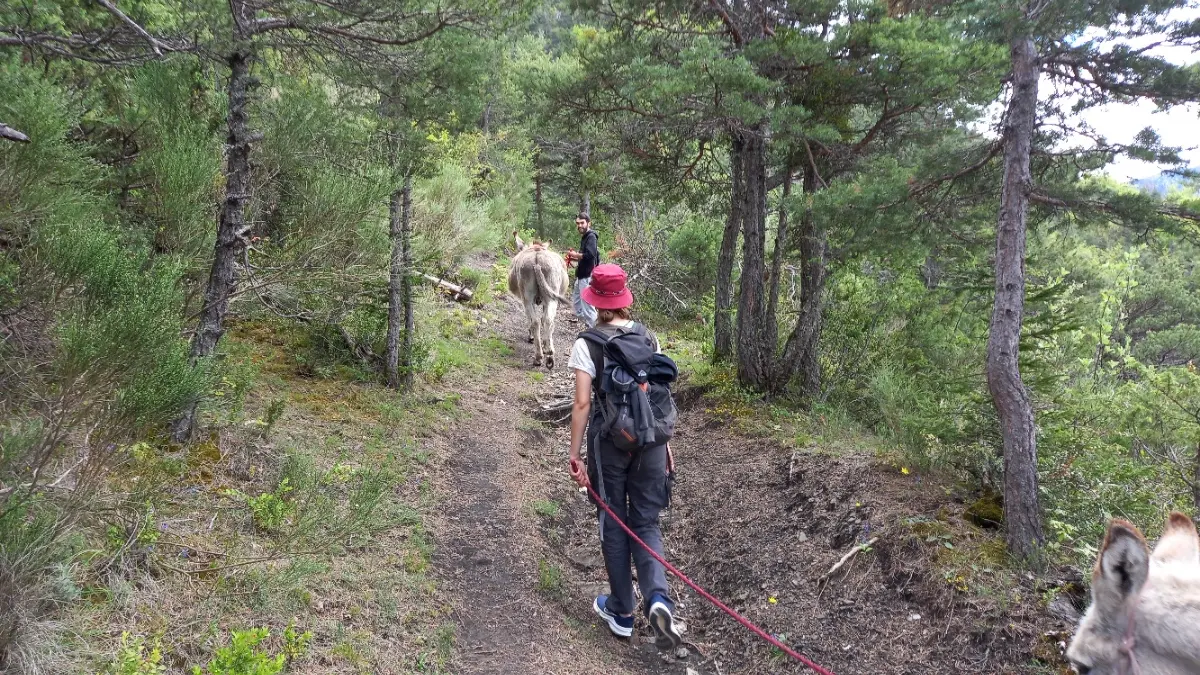 Rando avec nos ânes