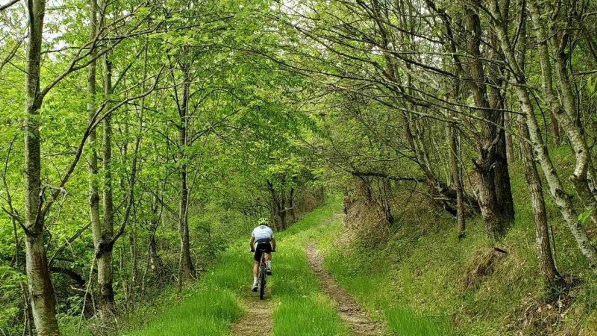 Sentier près de la forêt de Japperenard