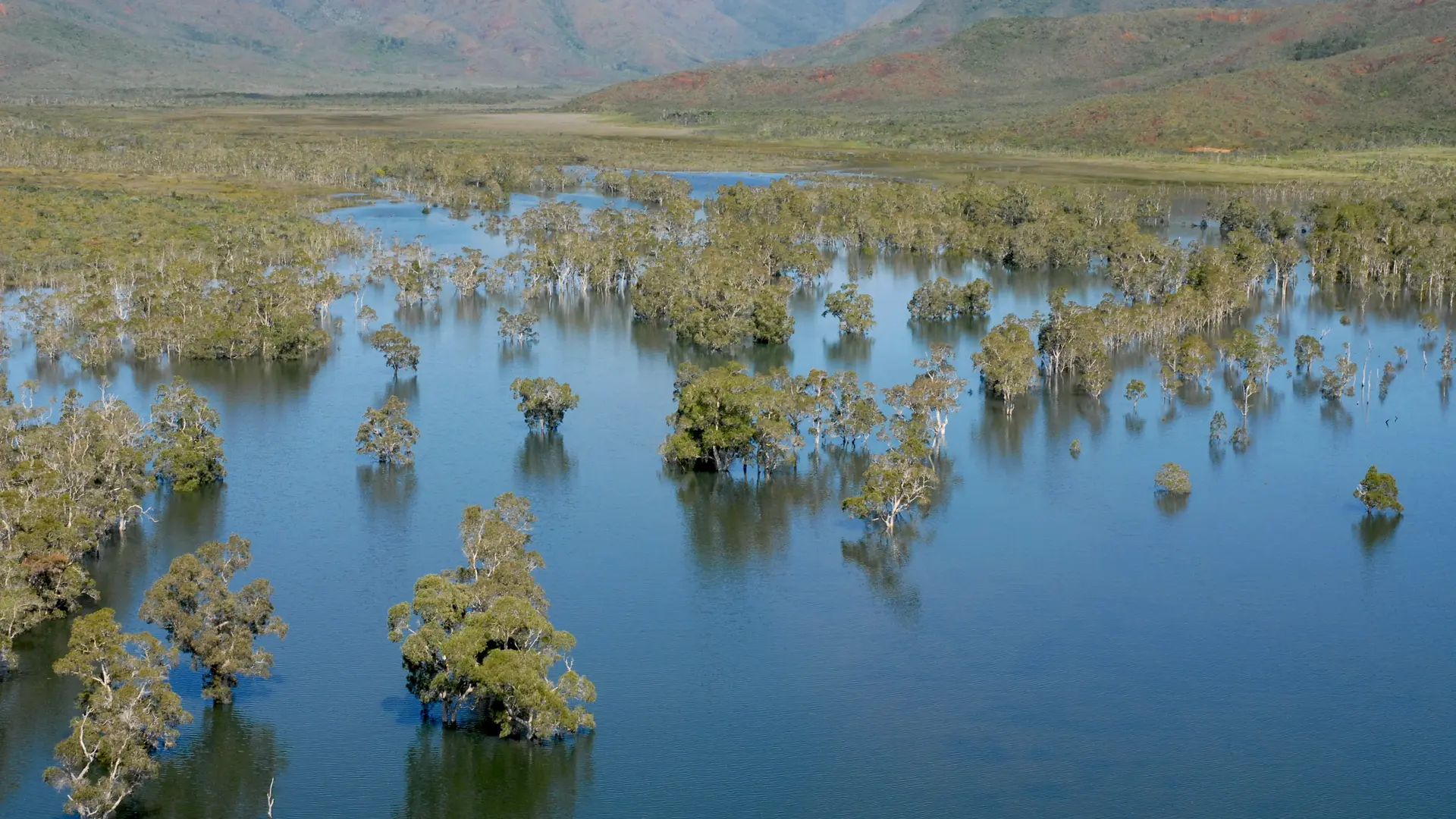Les marais de la Rivière Blanche