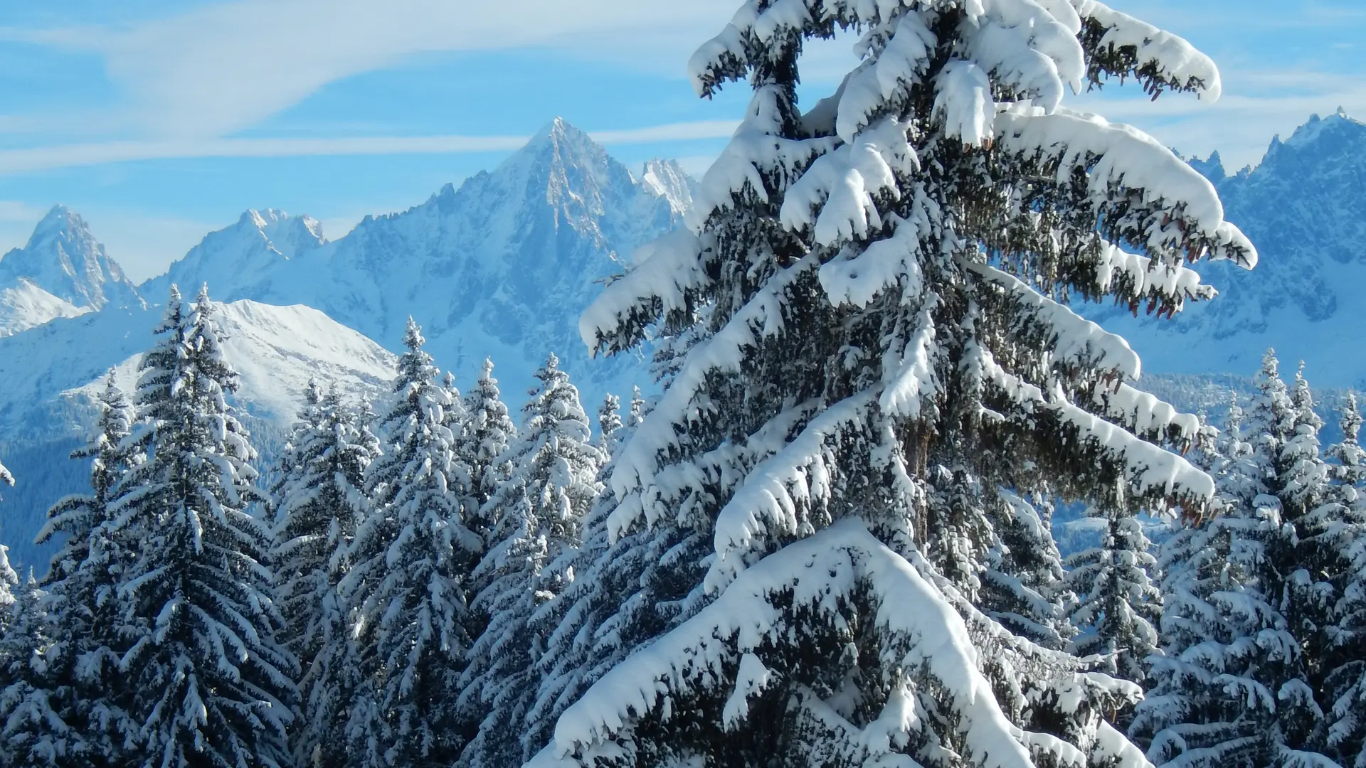 Paysage d'hiver