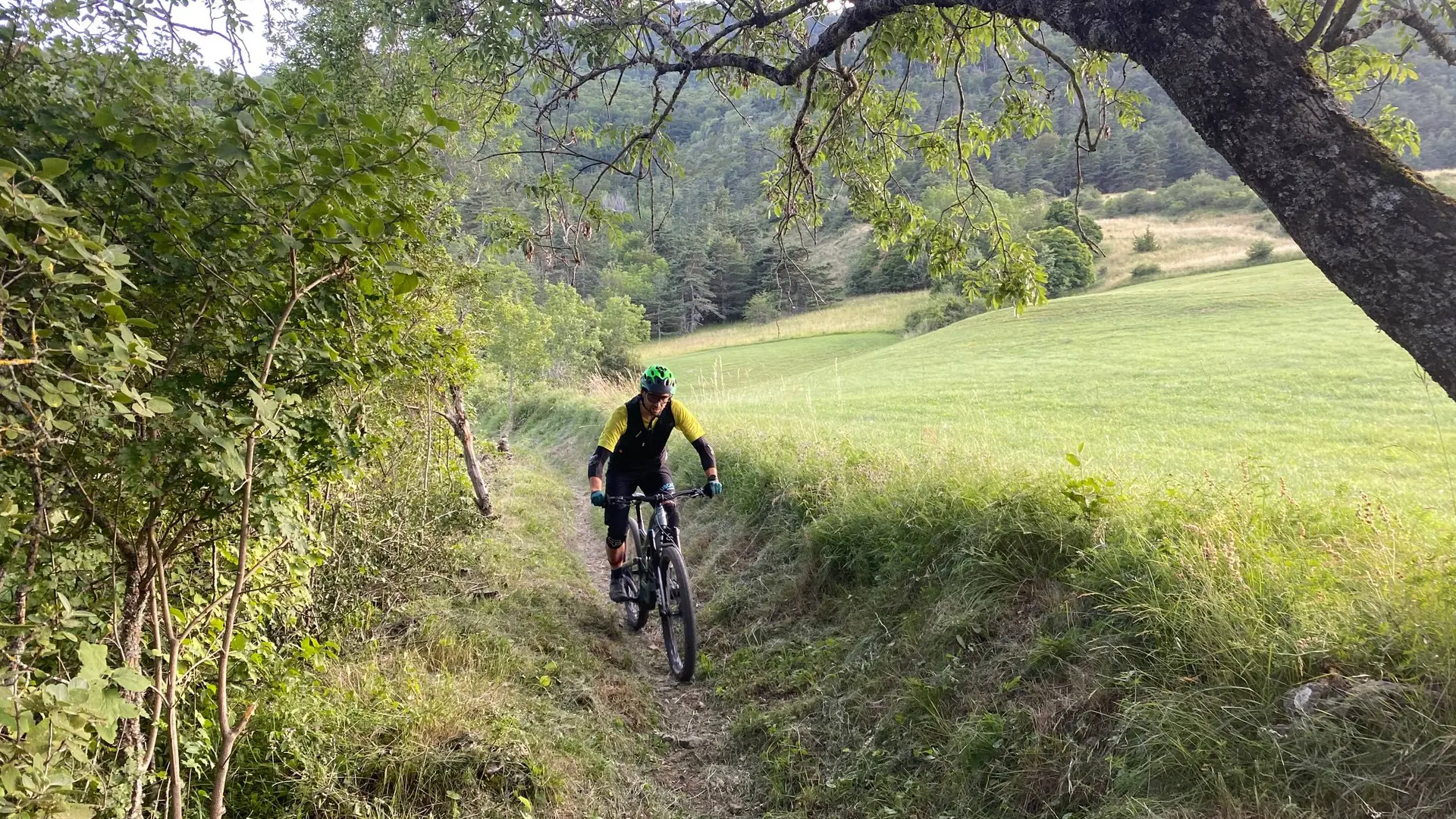 Agréable sentier bordé par les champs