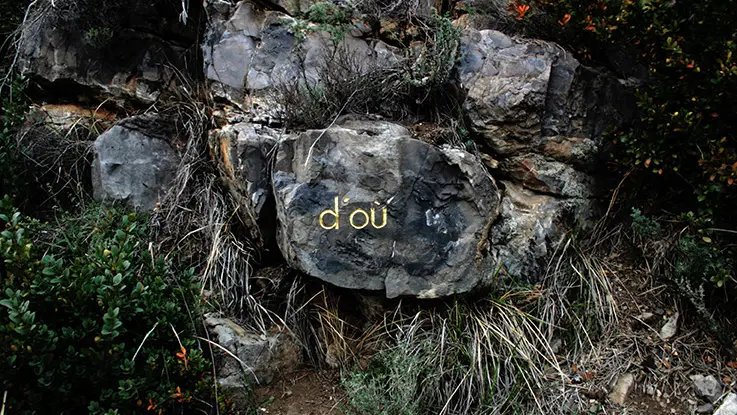 herman de vries, quoi, pourquoi, d’où, vers où, 2004, Collection musée