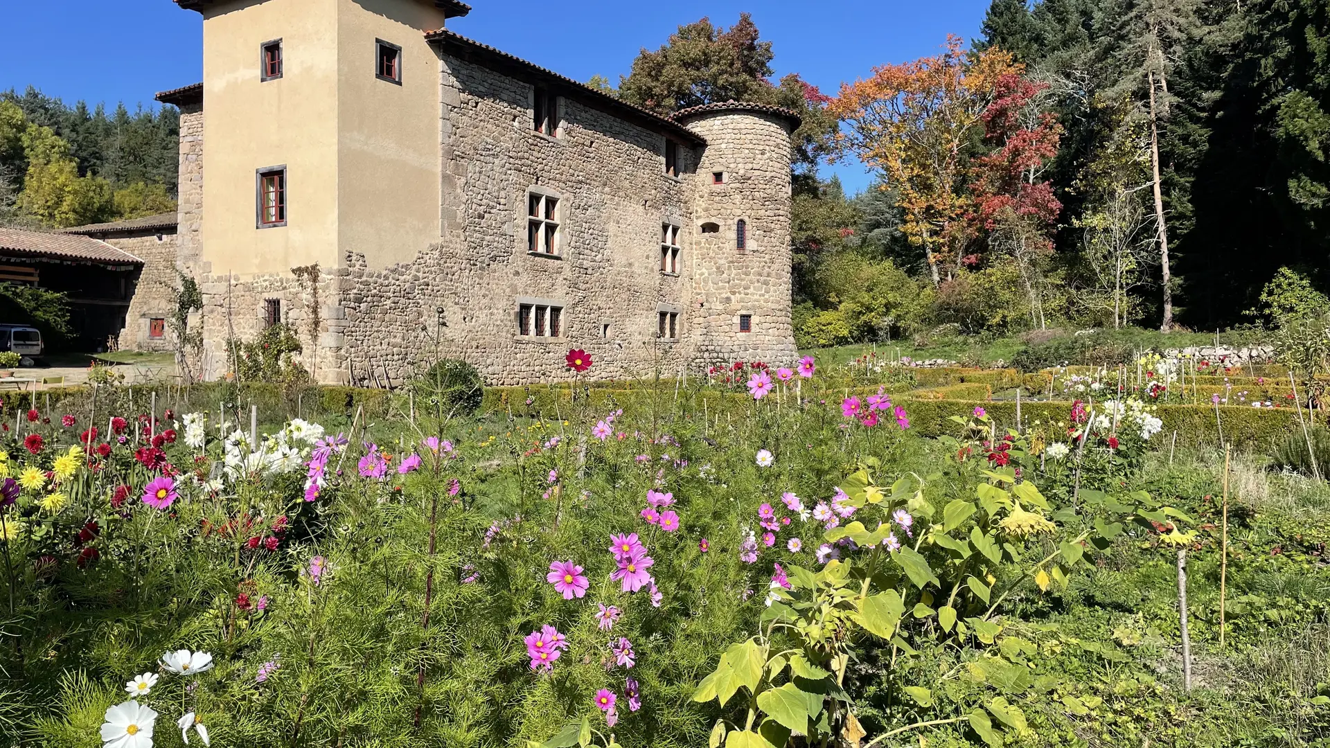 Dernières couleurs d'automne