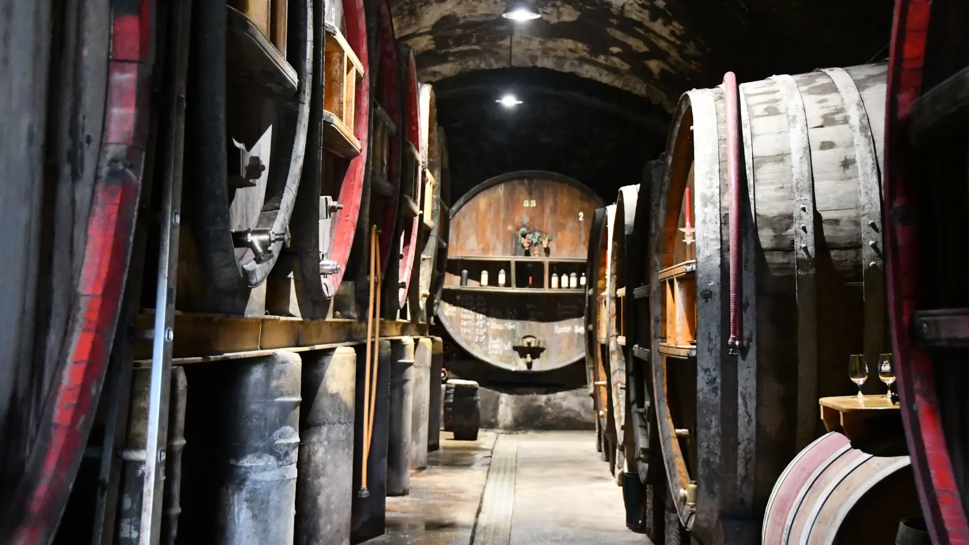 Cellar 2