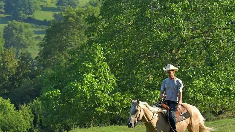 Randonnée équestre à Ferrières-sur-Sichon