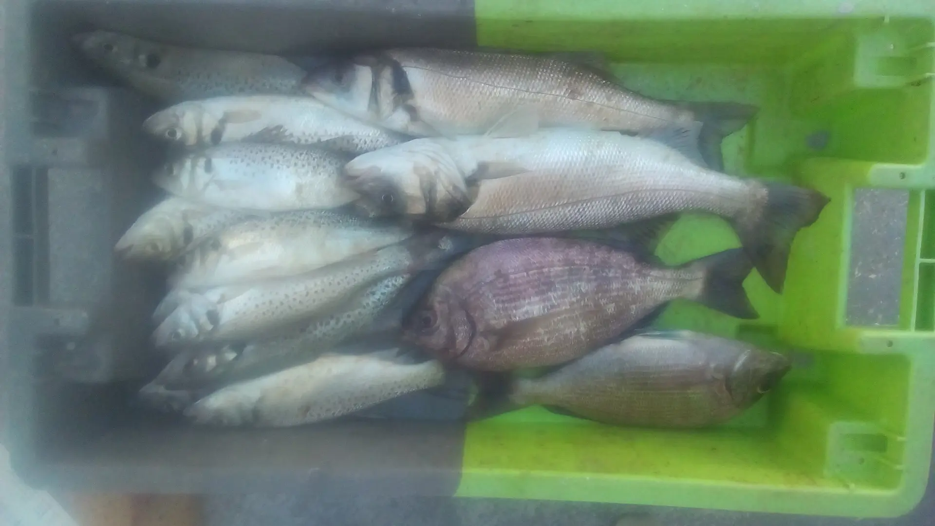 Chaque sortie dure 4h30.