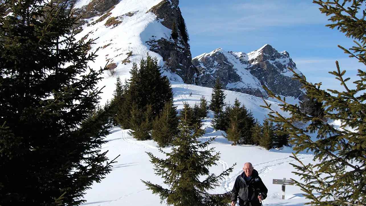 Ski de randonnée