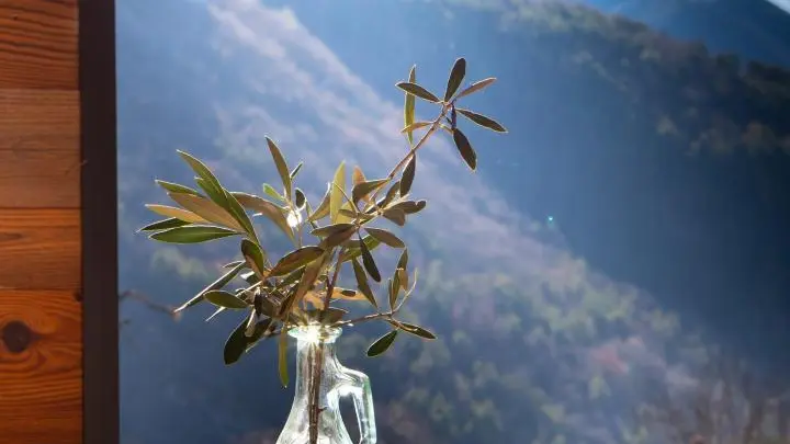 Vue Gîte La Sitelle - Belvédère - Gîtes de France Alpes-Maritimes