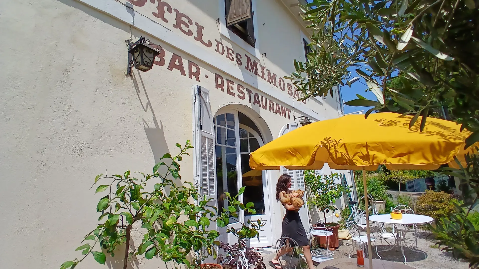 Hôtel des Mimosas