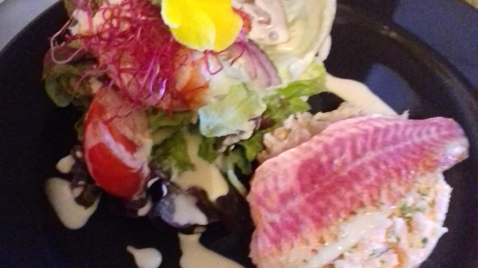 Un filet de poisson sur un lit de légumes et sa salade variée.