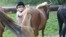 Location de poney - Les Paddocks du Mont Blanc