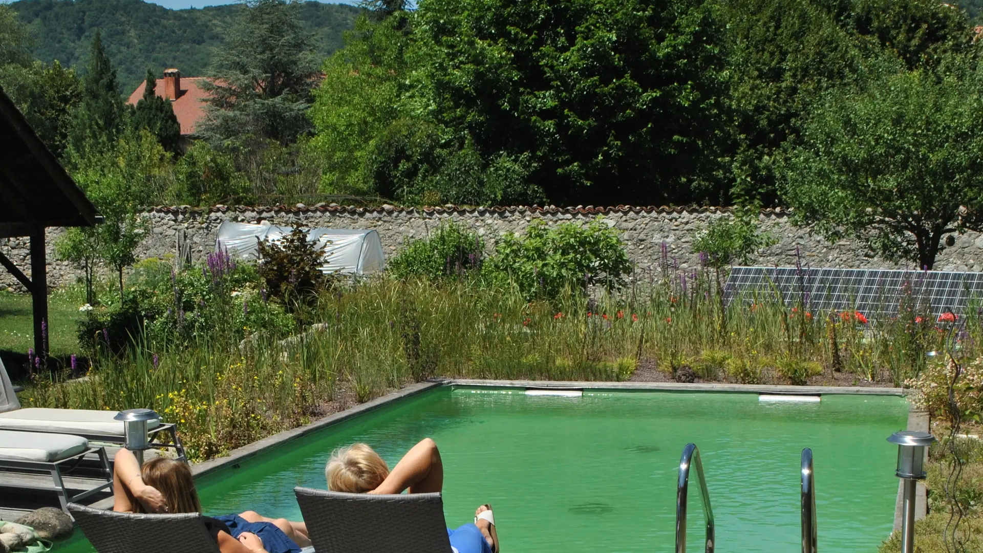 Prise de vue direct sur la piscine creusée écologique avec quelques transats et au fond, le grand jardin potager