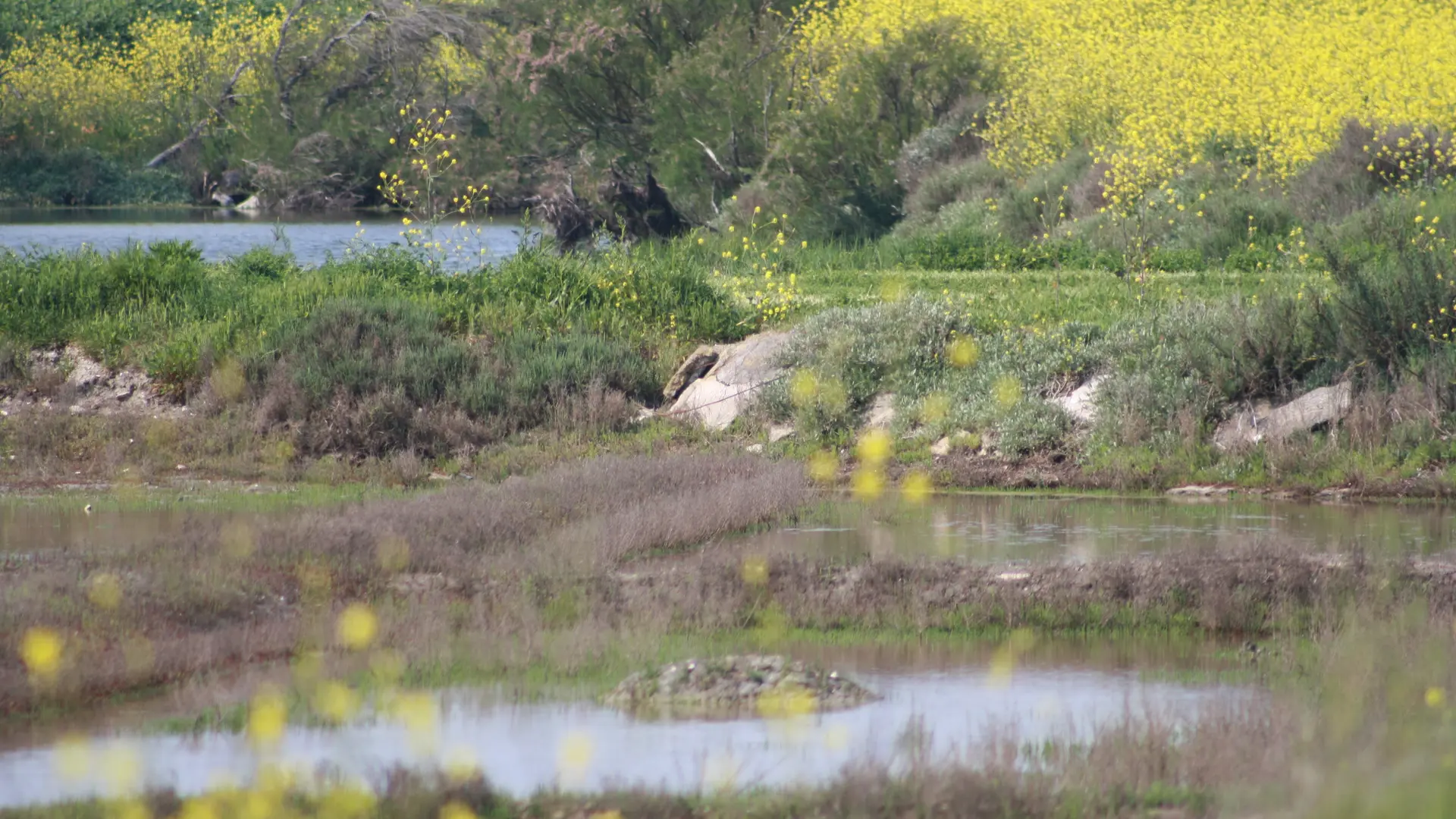 LES BALADES CONTEE DE MARIE-ANGE