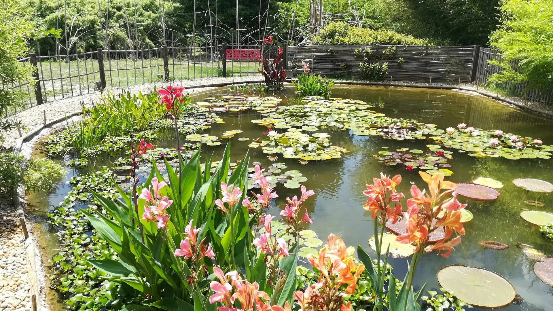 Jardin Bambous en Provence à Eyragues