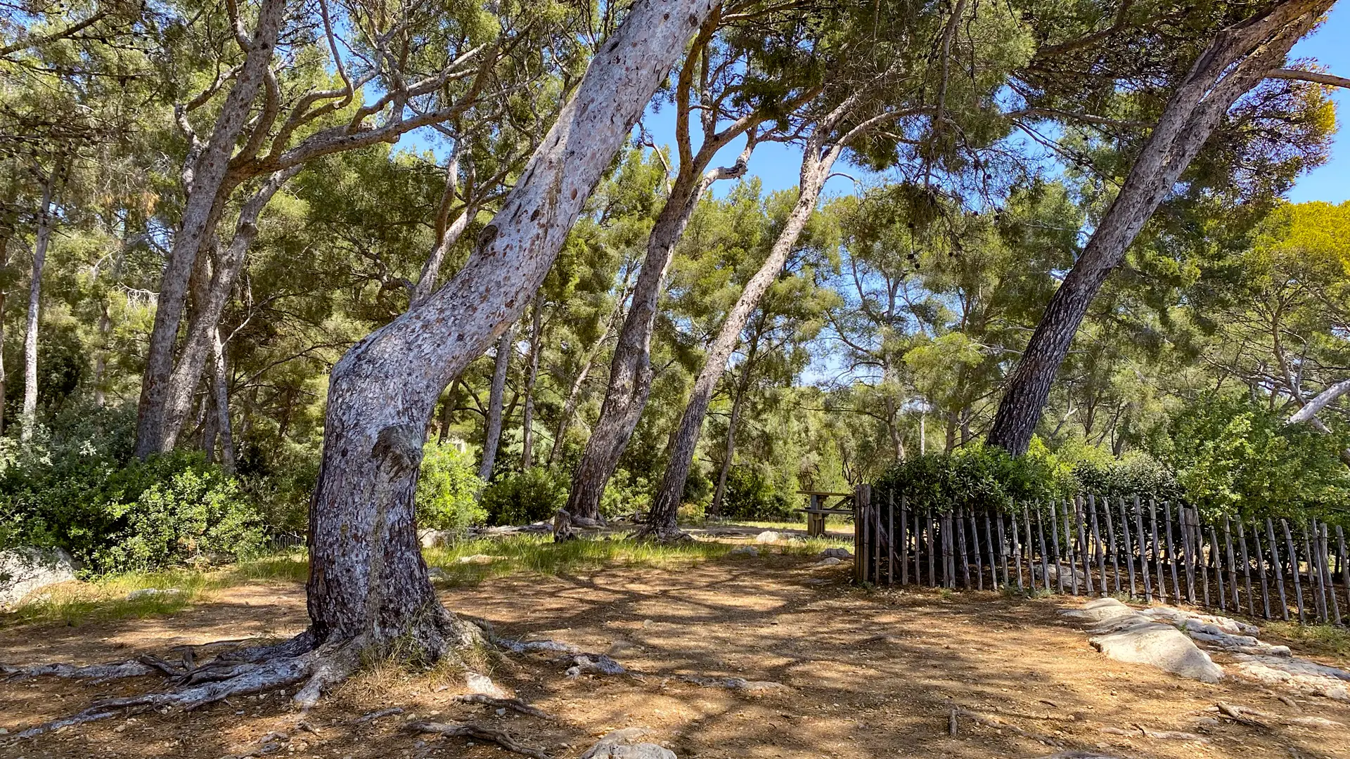 Espace Victorin Blanc