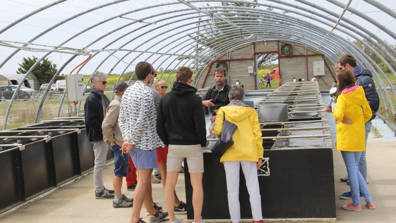 Découverte des plantes de la Ferme des baleines