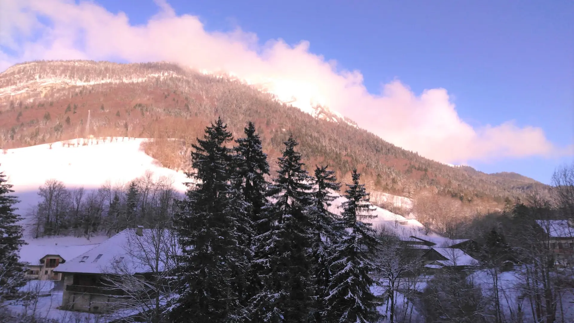 Vue depuis le studio