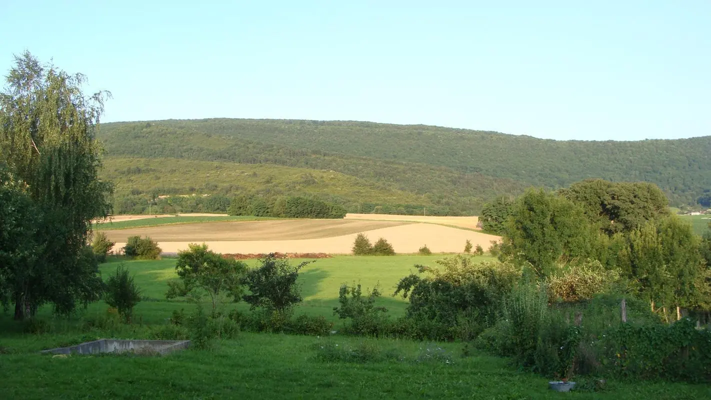 Vue sur la campagne