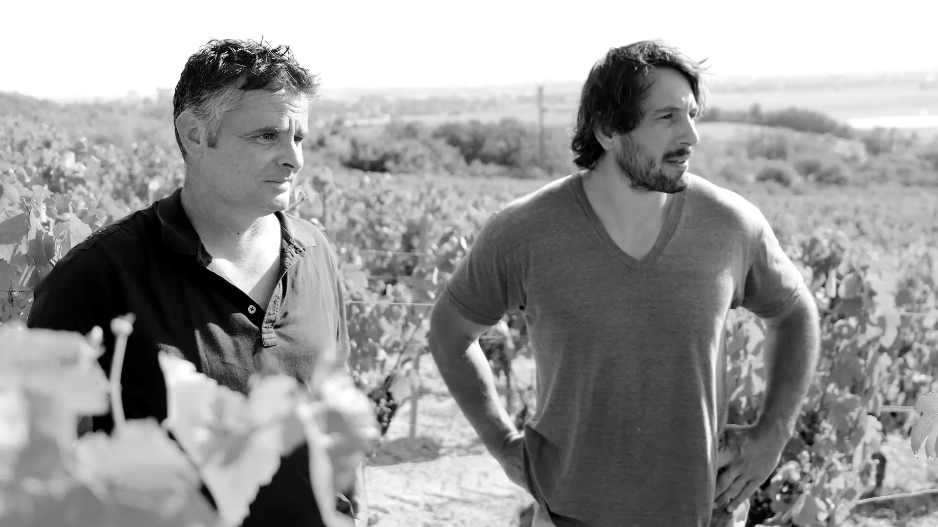 Vin - Cave Benoît Montel - Riom