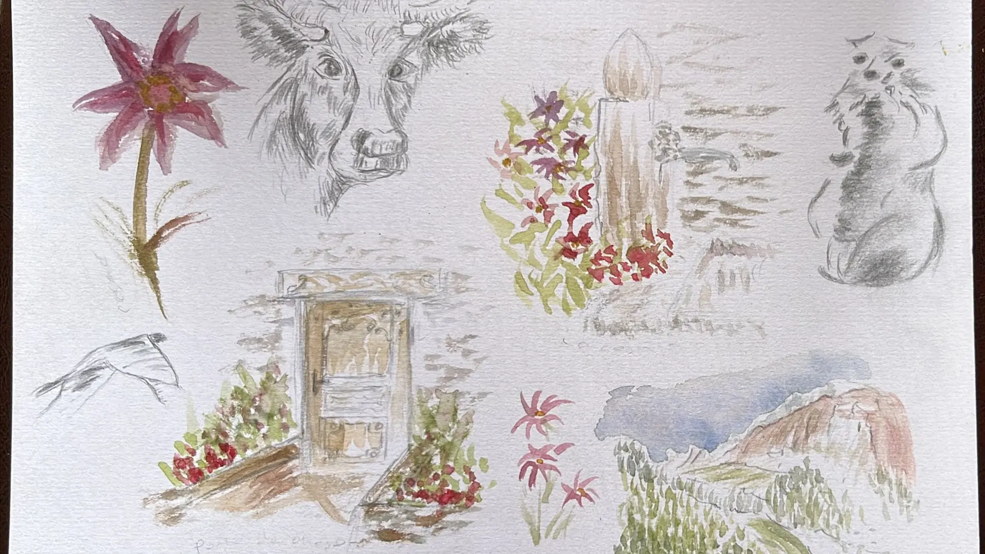 planche de croquis aquarelle nature