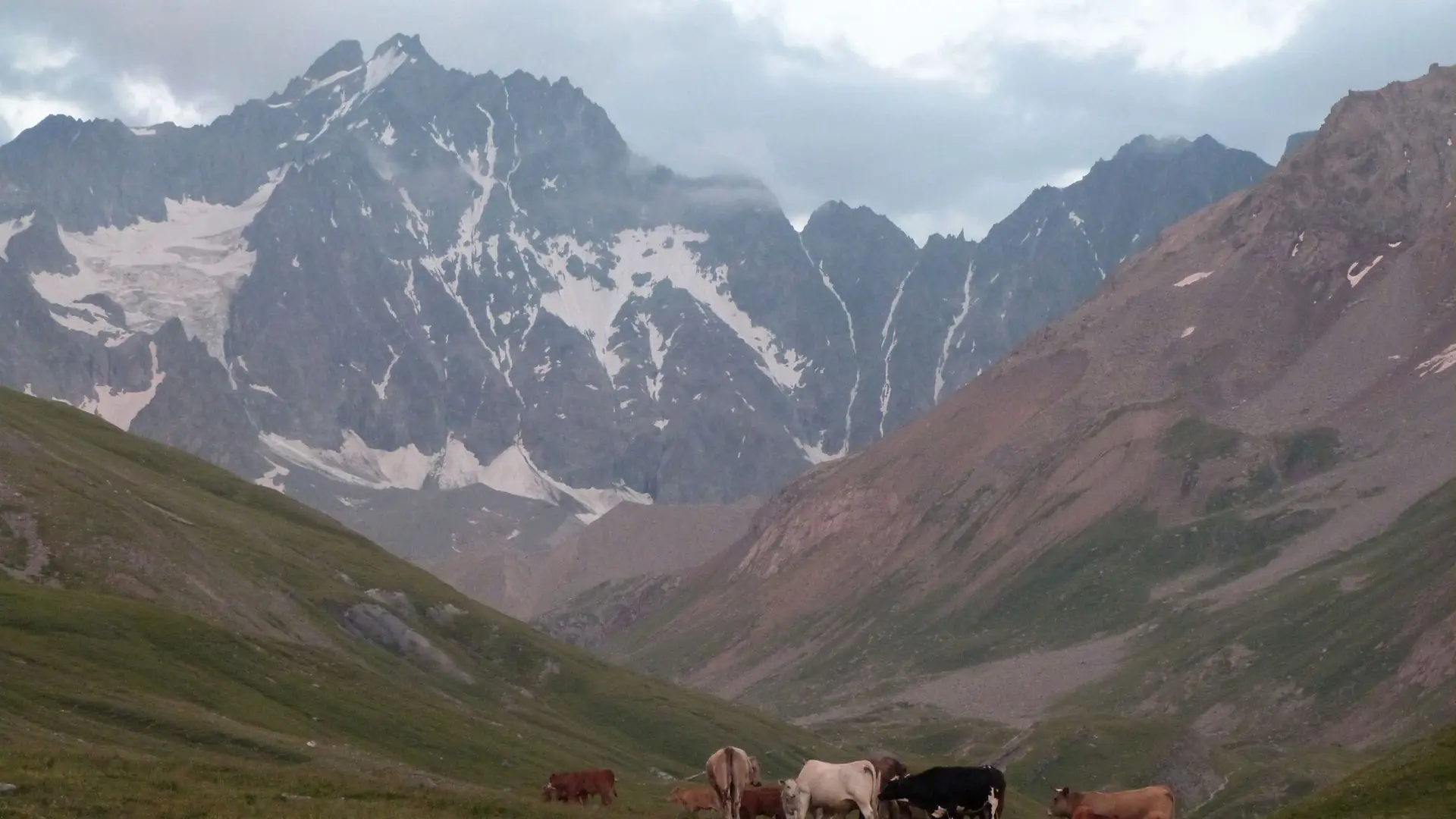 Vue sur les glaciers et les sommets des Ecrins