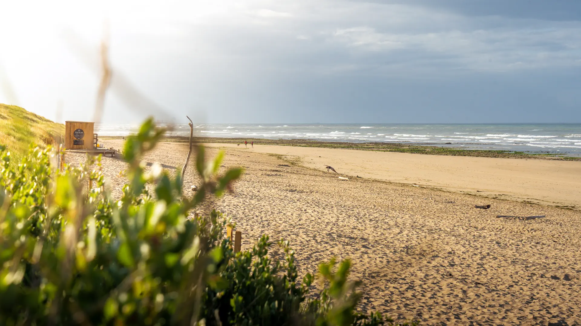Camping APV Antioche_Le Bois-Plage-en-Ré