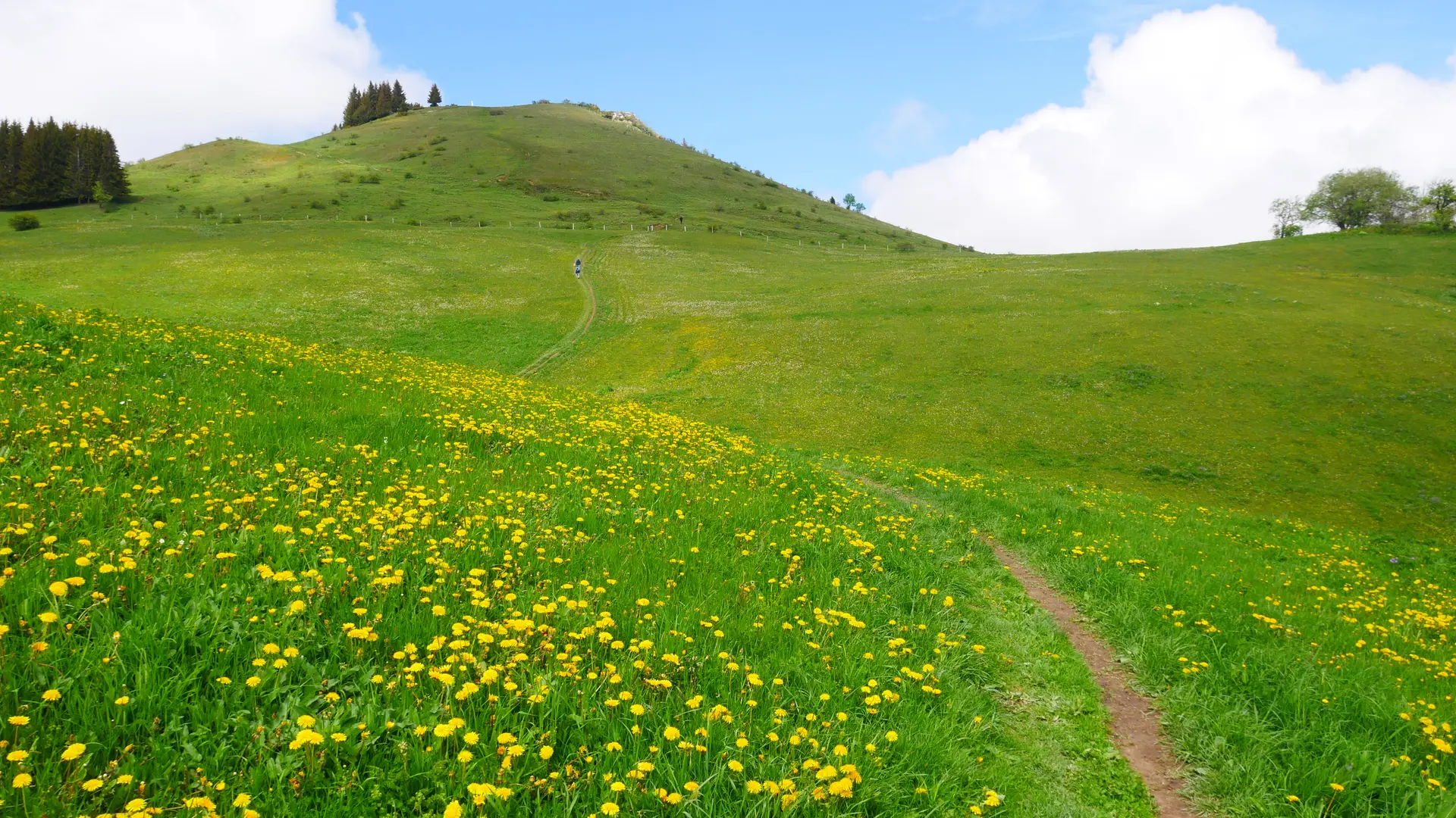 Alpages autour de la Pointe de Miribel