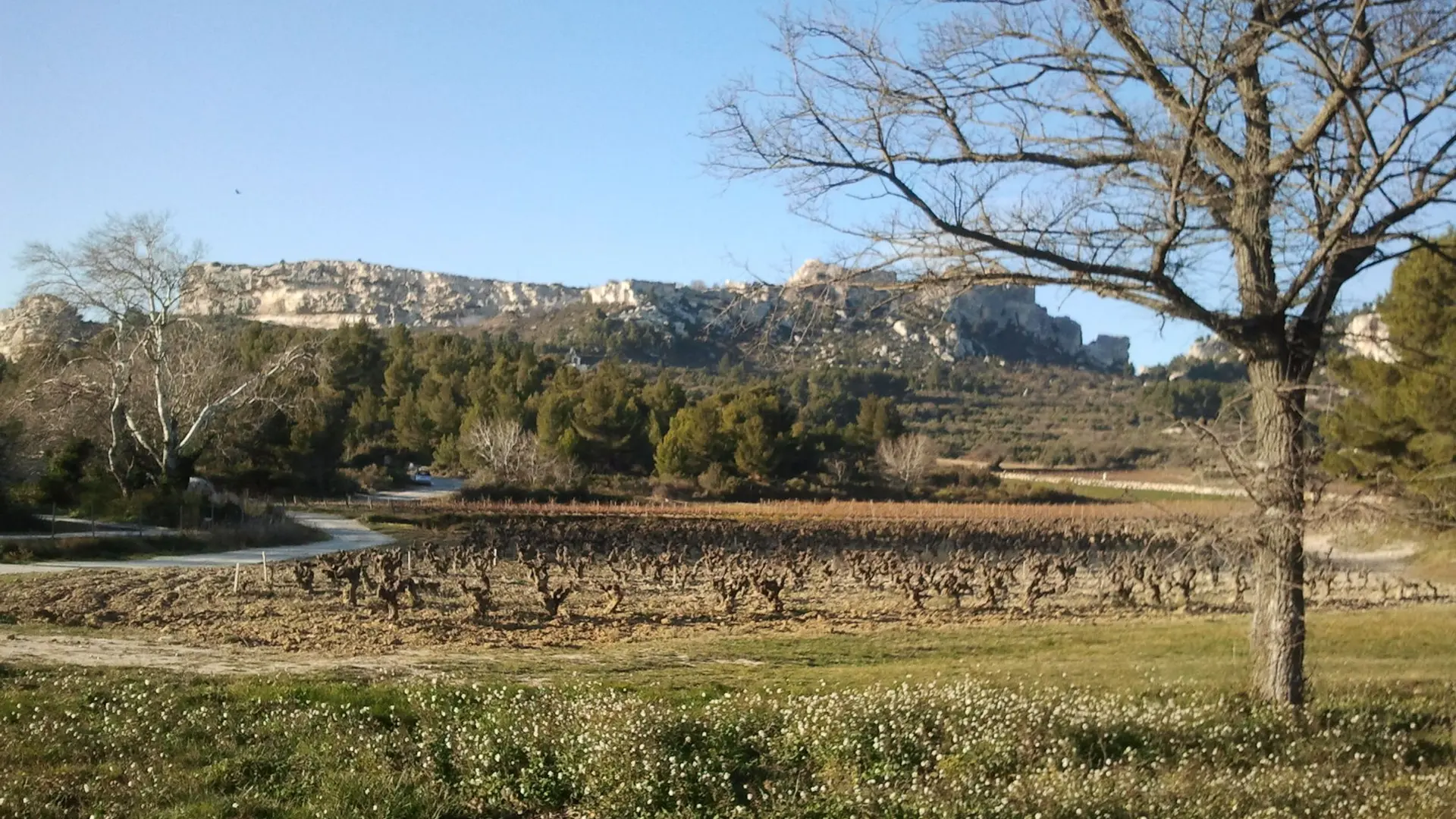 Château des Baux-de-Provence