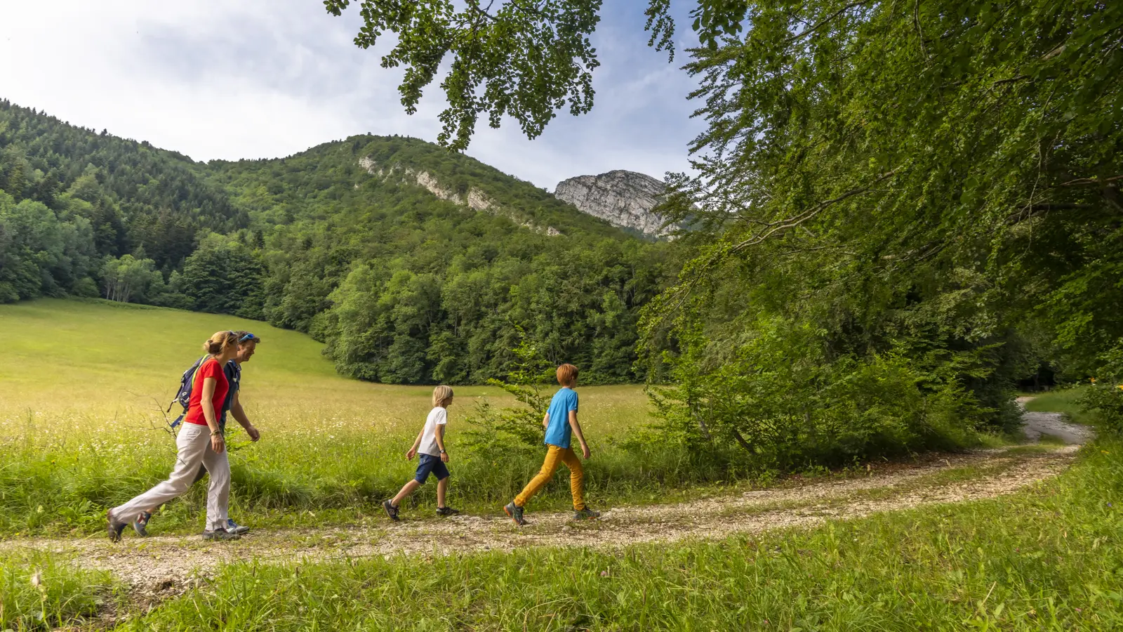 La côte Charvet depuis Mont Saint Martin