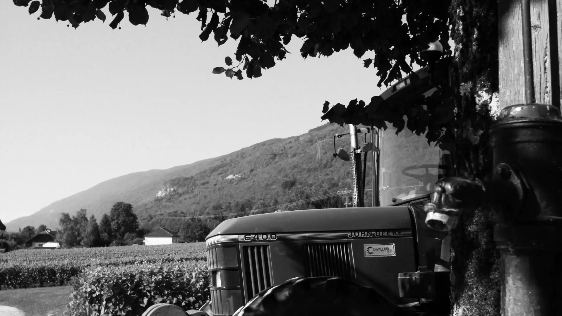 Caveau Gallice