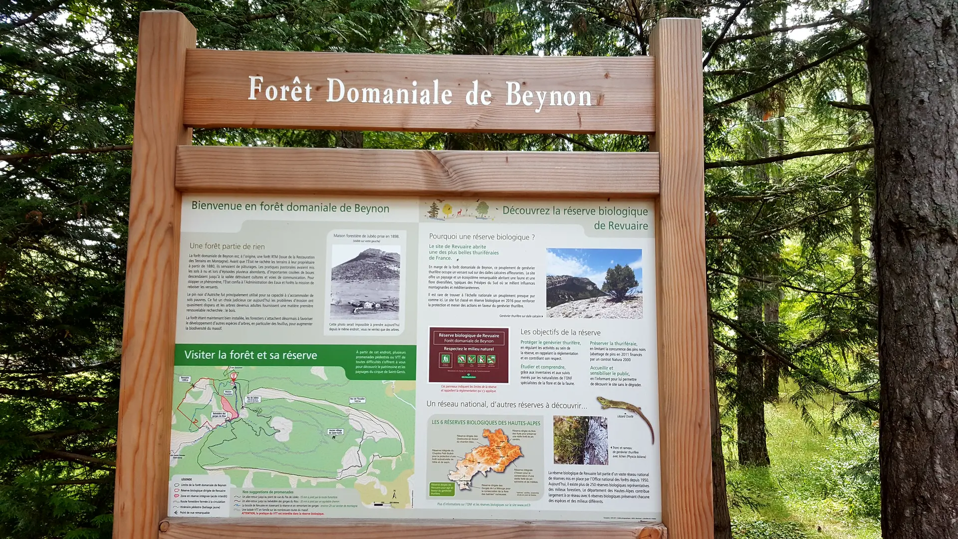 Panneau explicatif Forêt Domaniale du Beynon